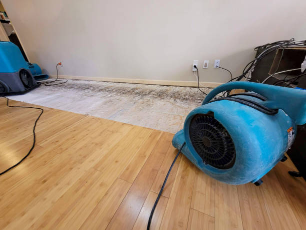 Reliable Basement Flood Cleanup contractor in Rogers, AR by Hirex Water Damage