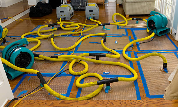 Professional Basement Flood Cleanup technician working in Rogers, AR